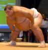 ashg231