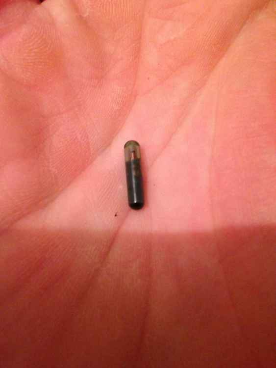 post-922479-0-98251200-1451733984_thumb.