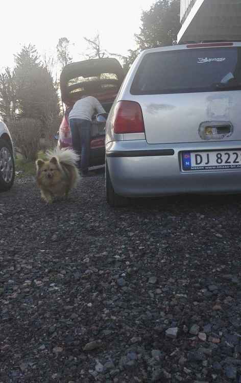 received_10153522717318199.jpeg