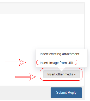 InsertImage2.png