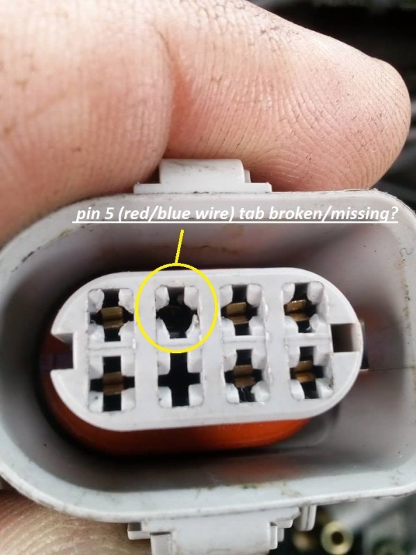 tps plug.jpg