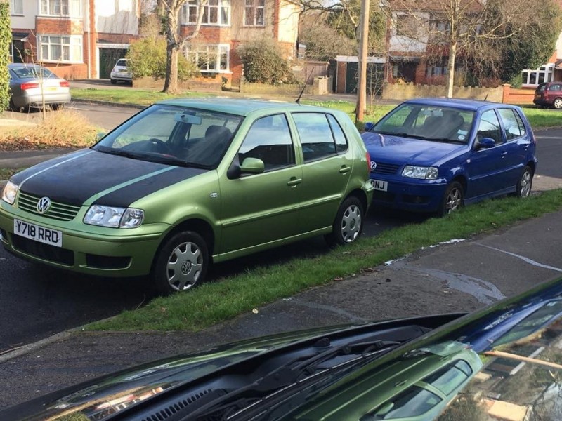 polo blue and green 1.jpg