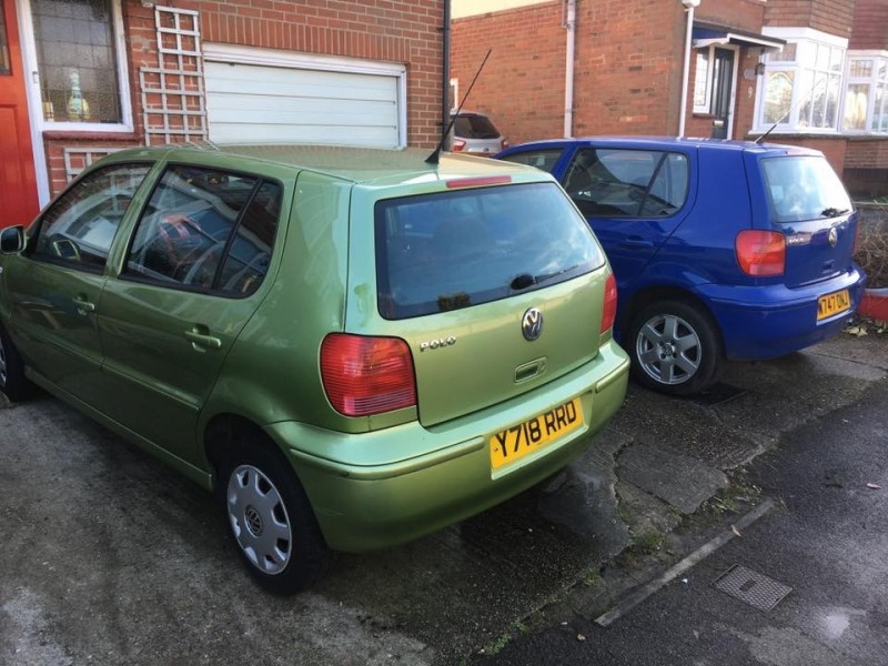 polo blue and green 2.jpg