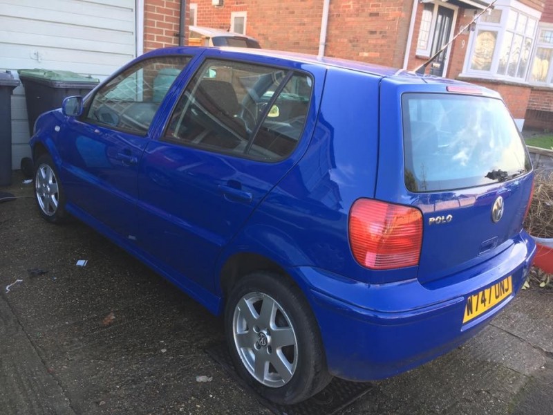 polo blue and green 3.jpg