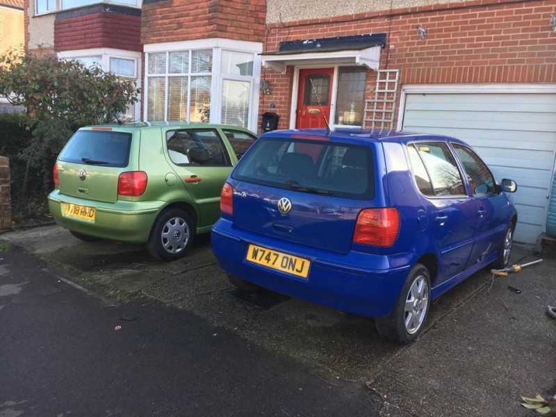 polo blue and green 4.jpg