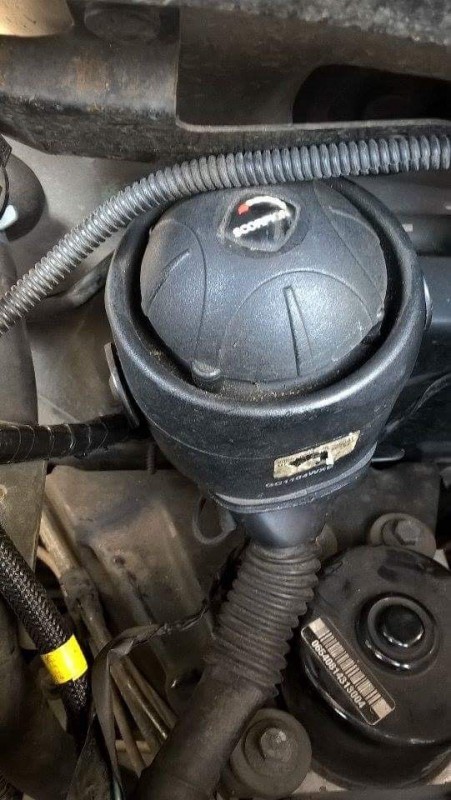 image.jpeg