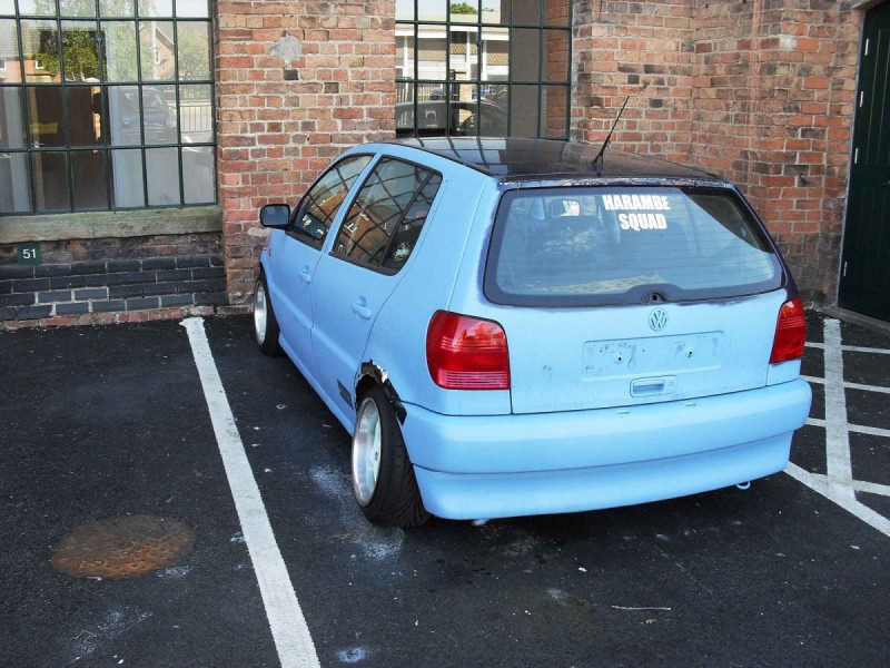 SDC11125lq.jpg