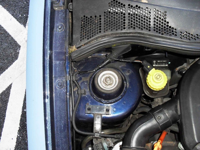 SDC11169lq.jpg