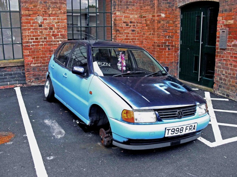 polo_sml.jpg