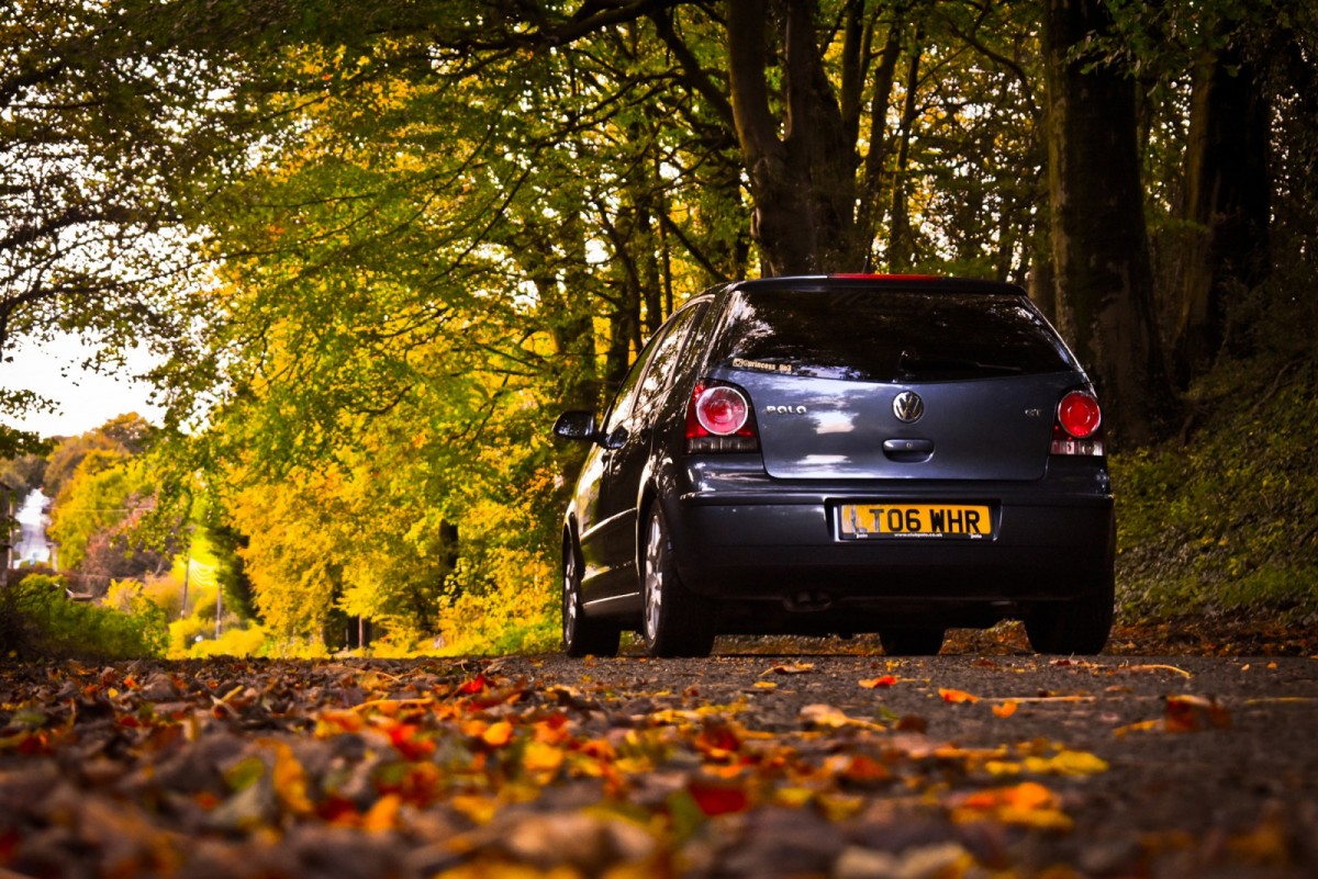 20191020_AutumnNinety2_038web.jpg