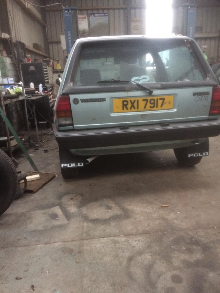 p6.jpg
