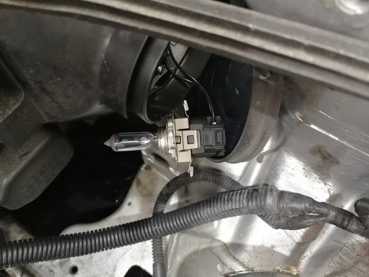 Bulb and Bulb Retainer 02.jpg