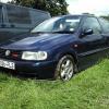 gt-polo
