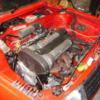 polo13