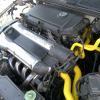 euro_polo6n