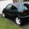 my little polo