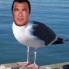 mrjimmyc